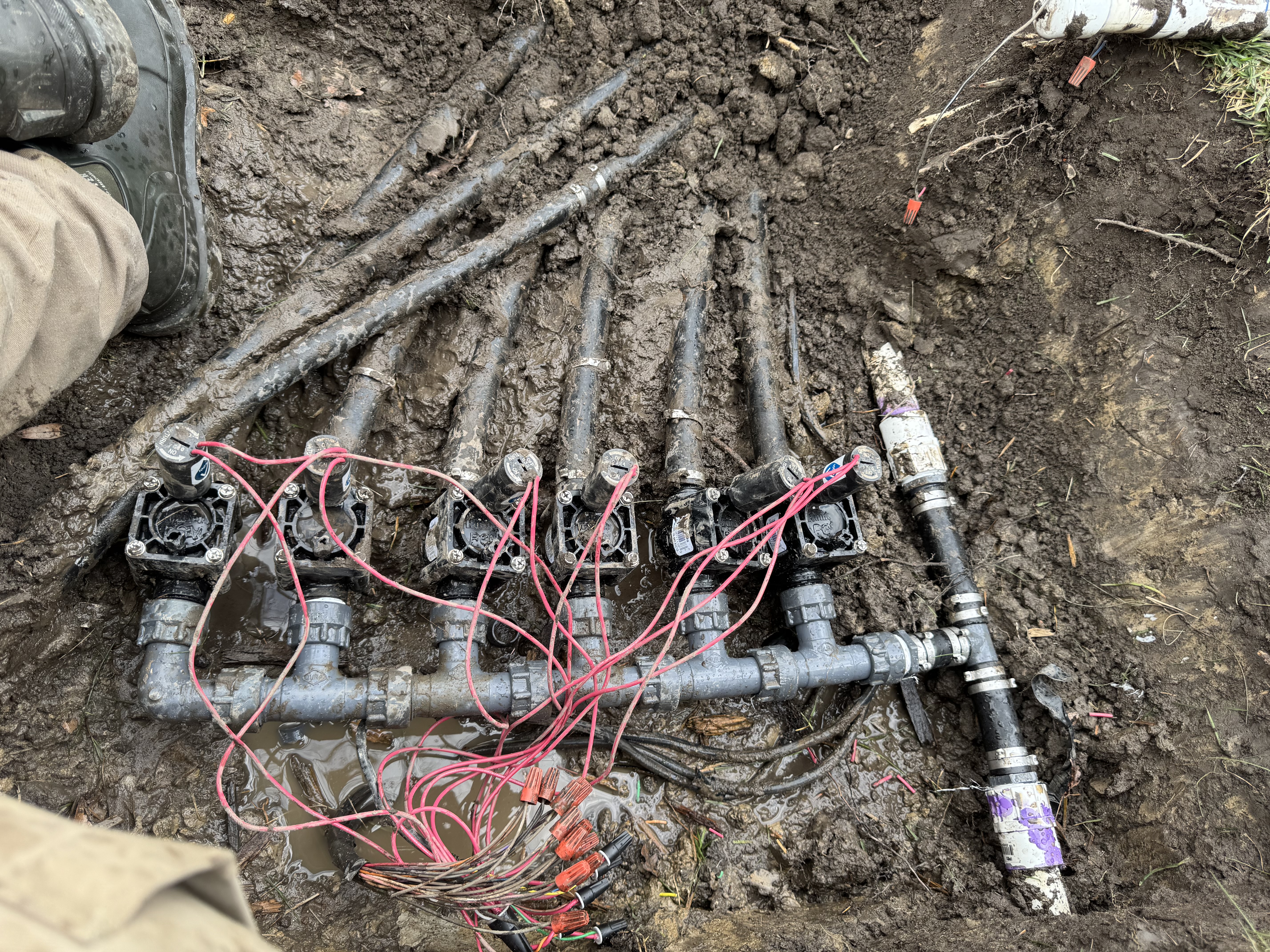 Hunter HydroTech irrigation and sprinkler project photo 10