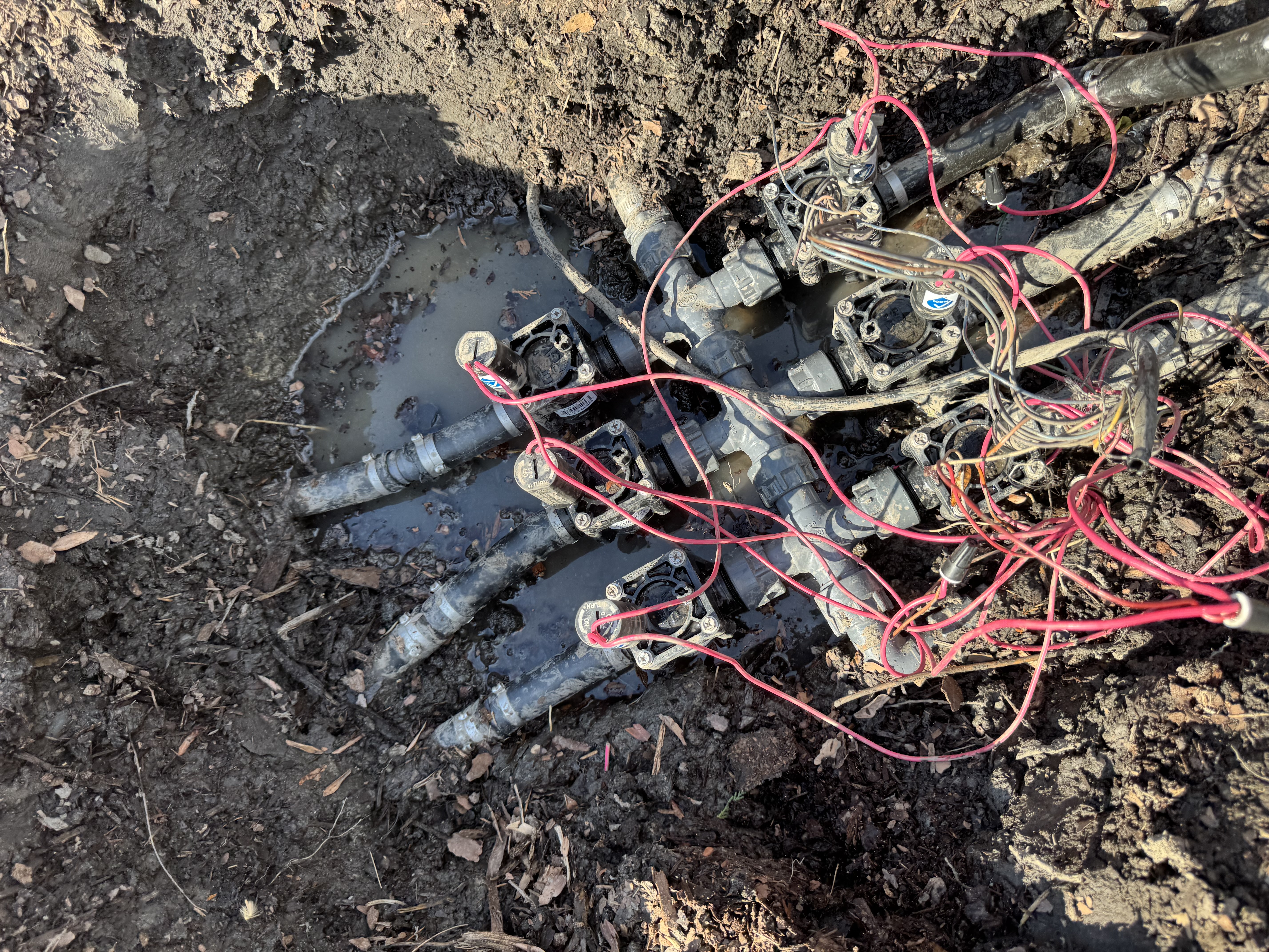 Hunter HydroTech irrigation and sprinkler project photo 7