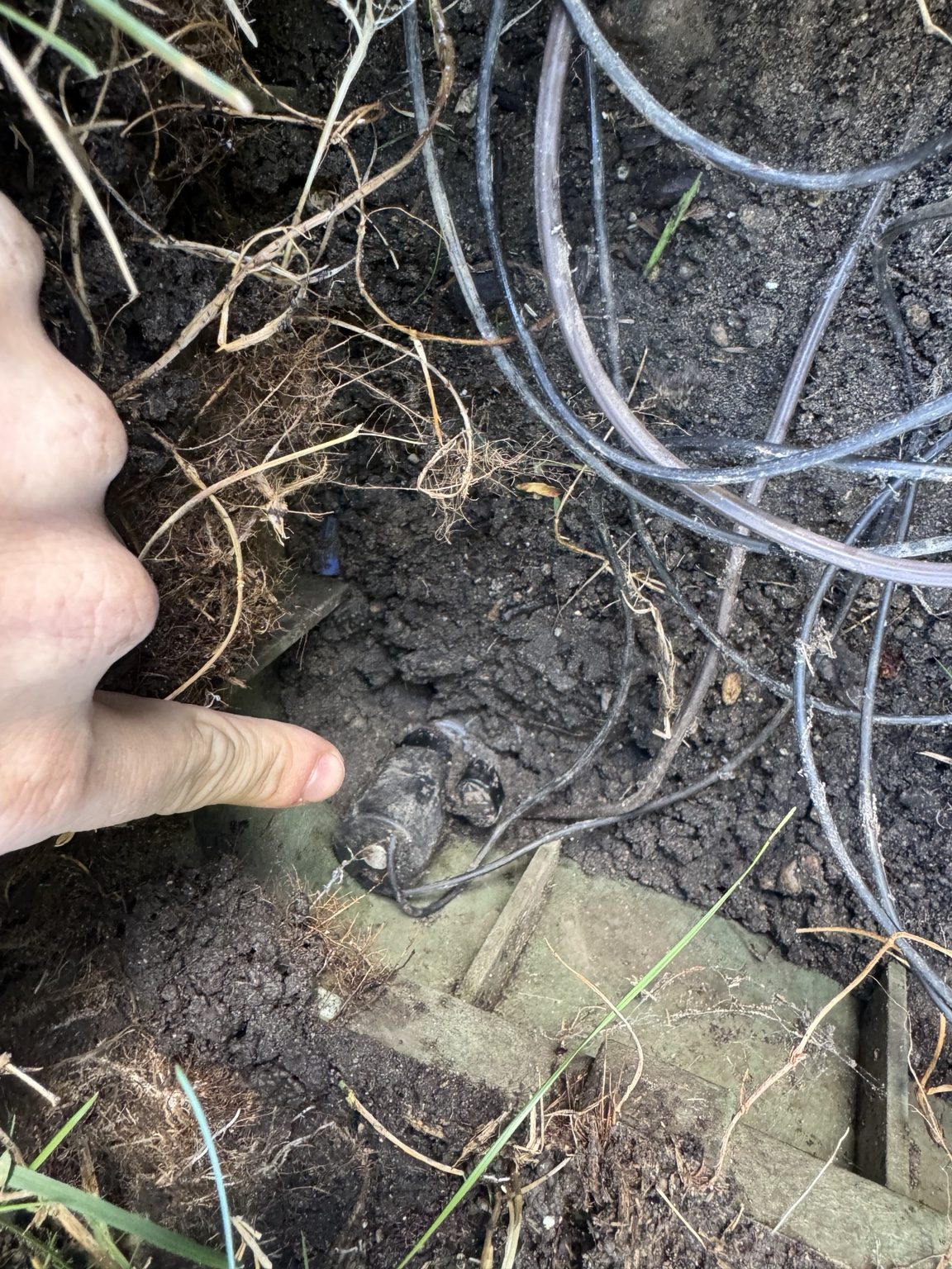 Sprinkler solenoid and buried valve wiring documented during Royal Oak irrigation repair diagnosis