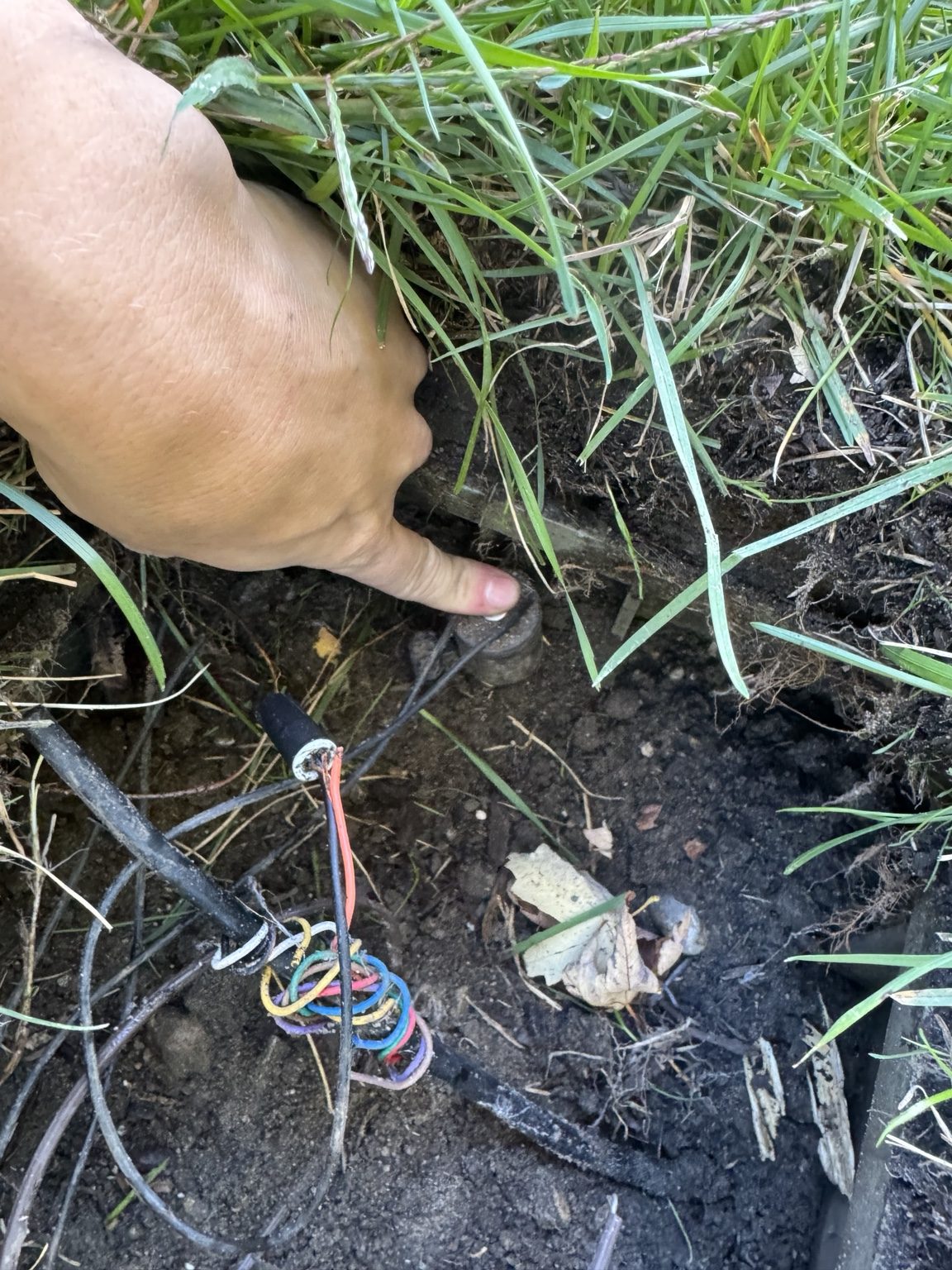 Irrigation field wiring exposed beside sprinkler valves during Royal Oak diagnosis